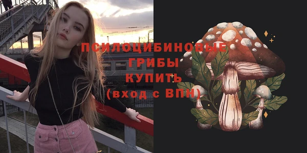 метадон Арсеньев